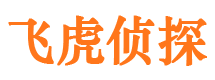 稻城侦探公司